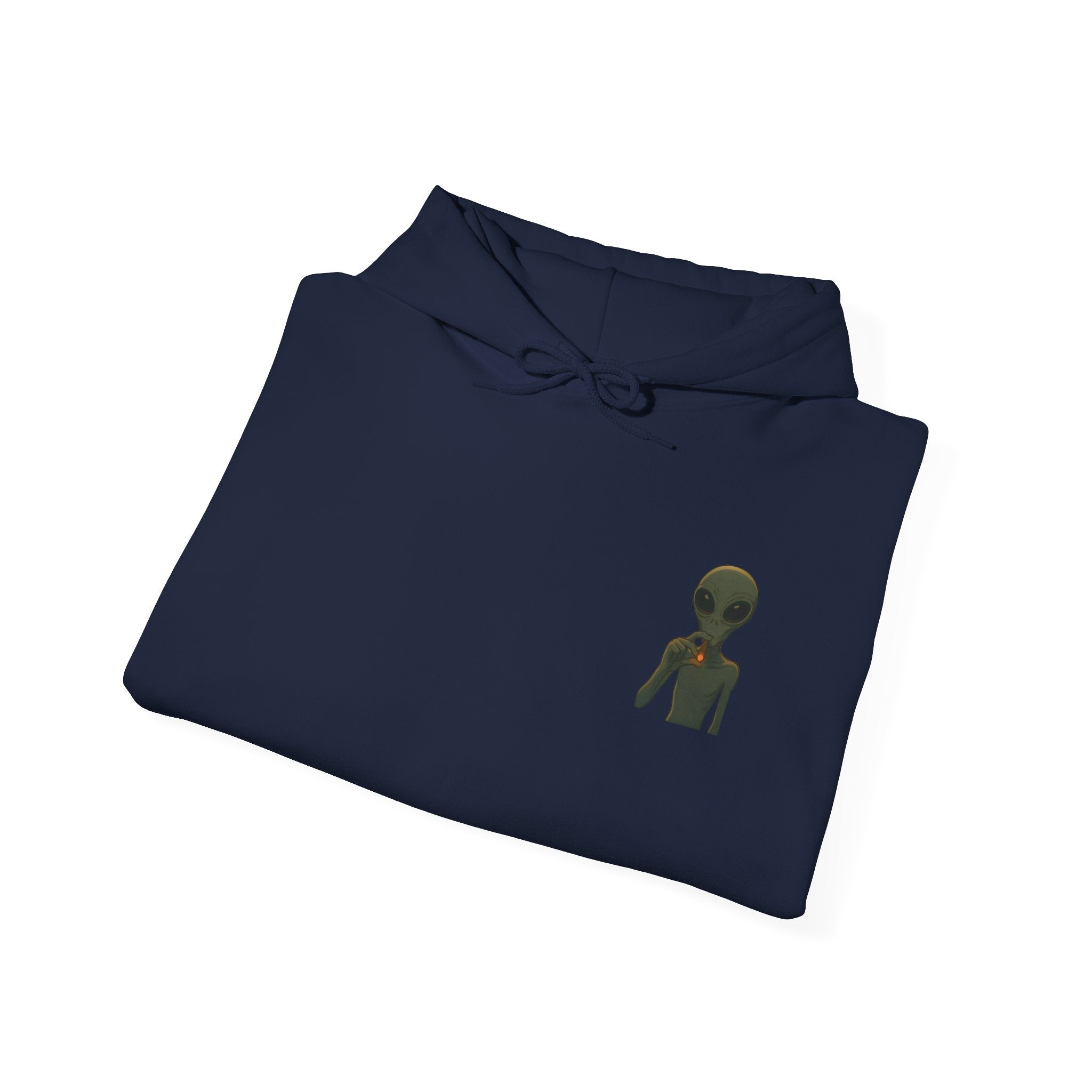 Hoodie — "This Planet Is Under New Management" Alien Graphic Pullover