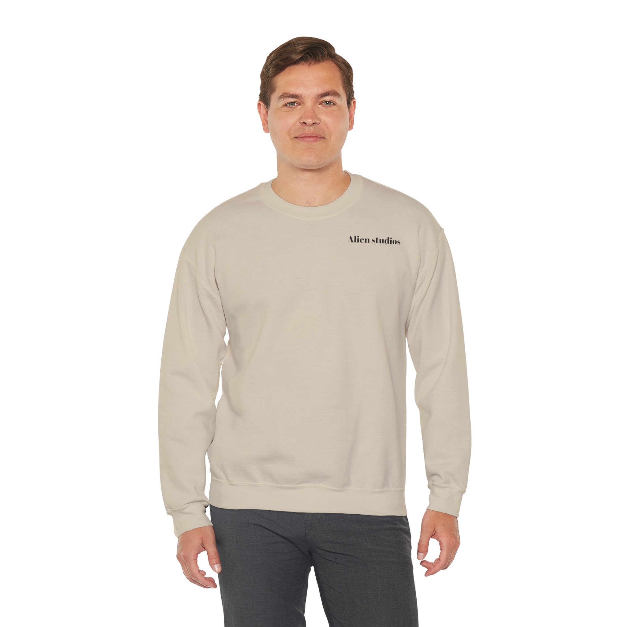 Alien Studios logo sweatshirt | Crewneck sweatshirt, minimalist back text