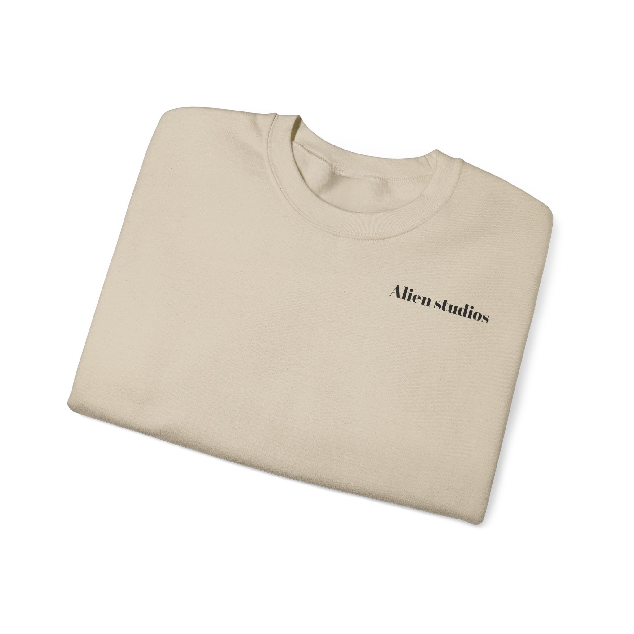 Alien Studios logo sweatshirt | Crewneck sweatshirt, minimalist back text