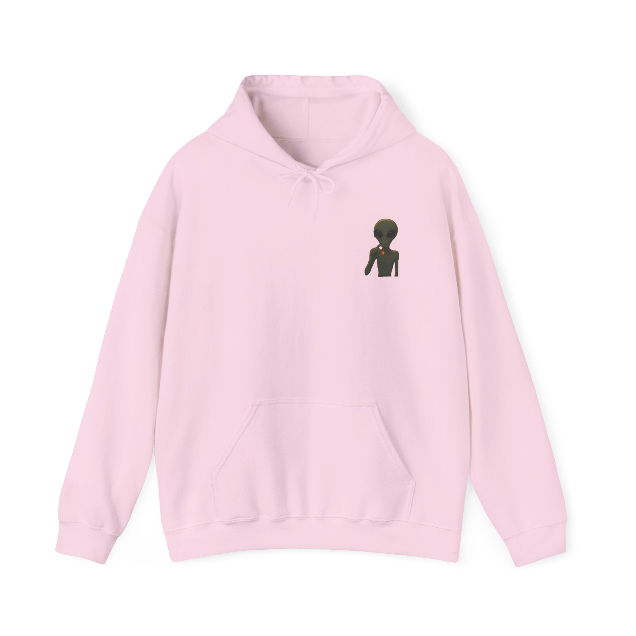 Hoodie — "This Planet Is Under New Management" Alien Graphic Pullover
