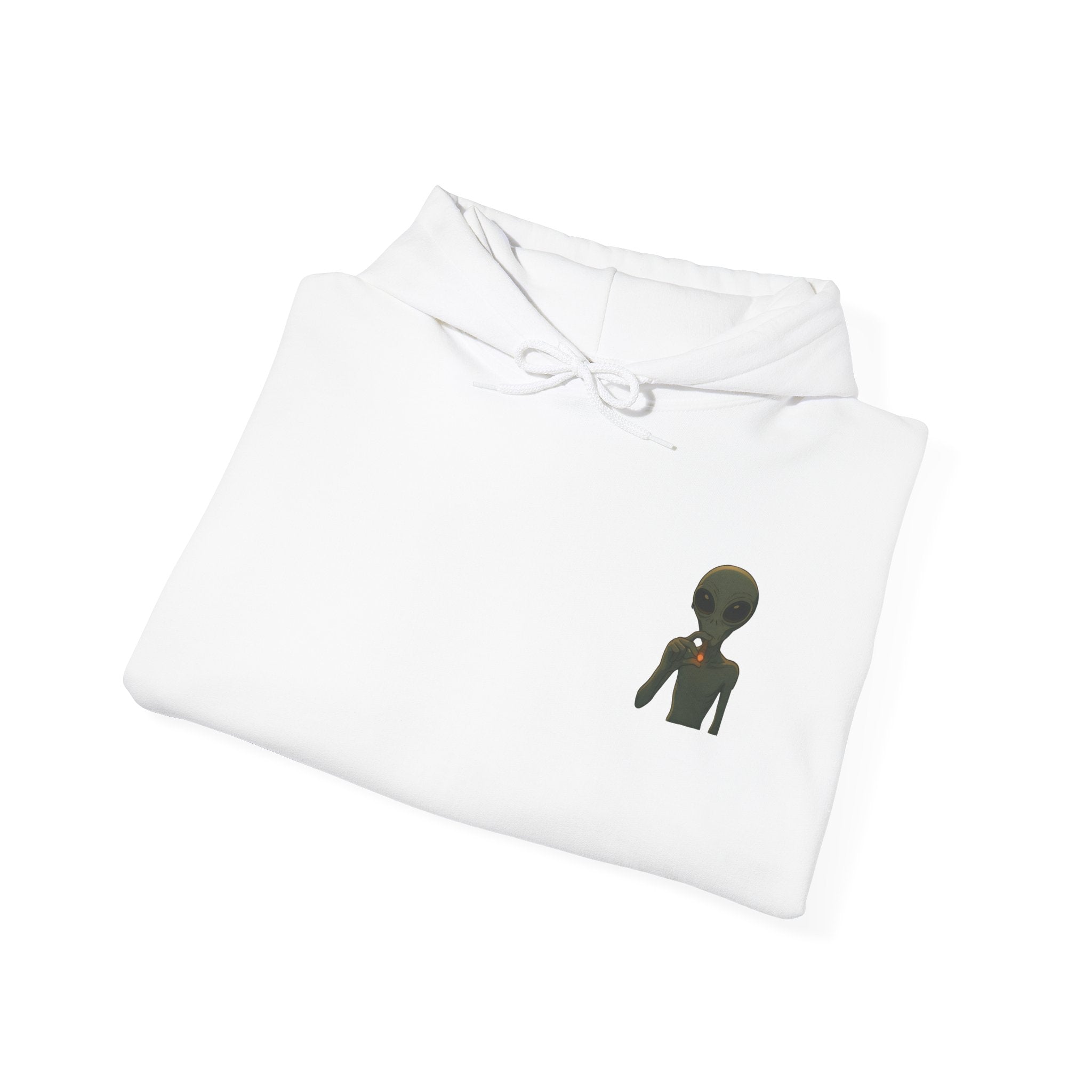 Hoodie — "This Planet Is Under New Management" Alien Graphic Pullover
