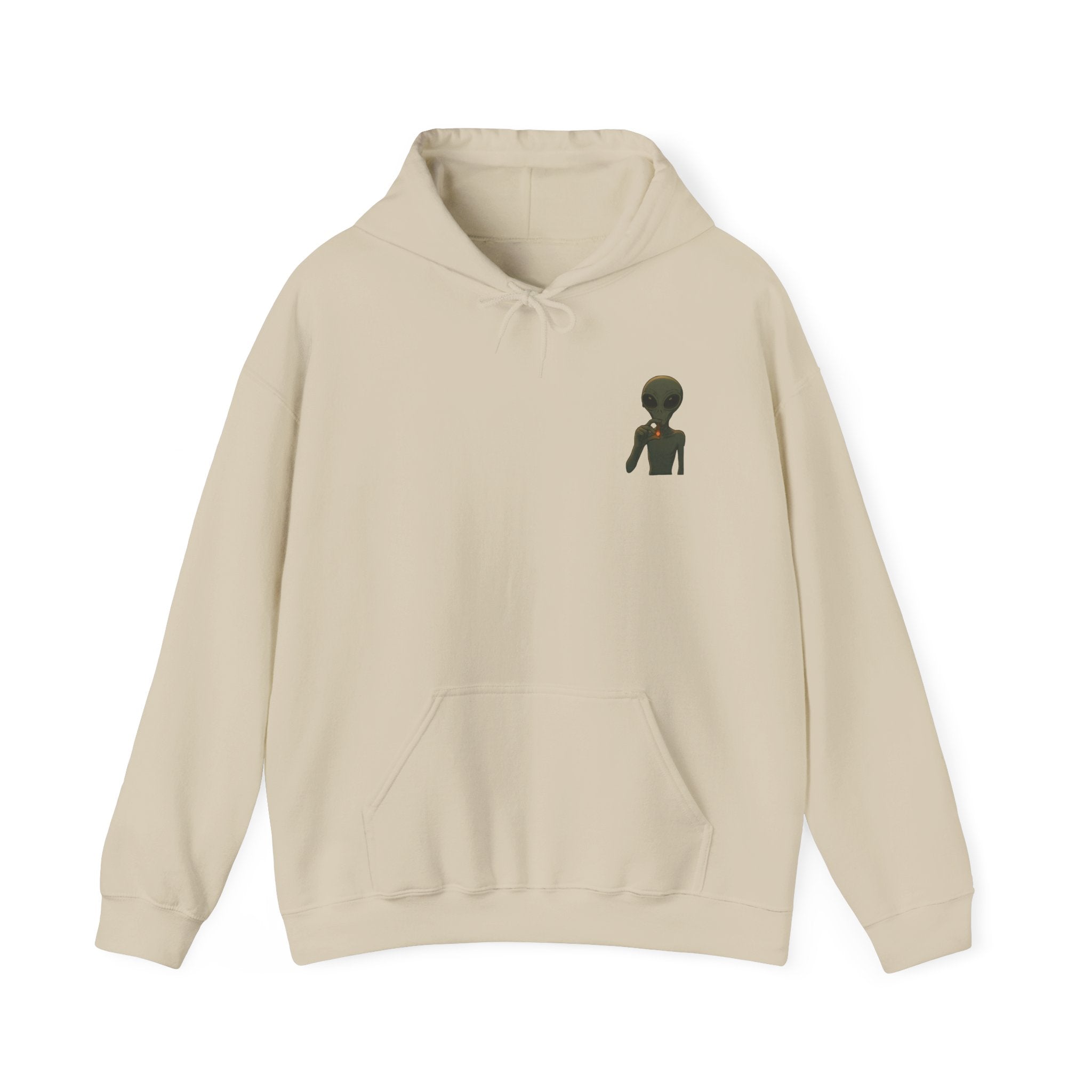 Hoodie — "This Planet Is Under New Management" Alien Graphic Pullover