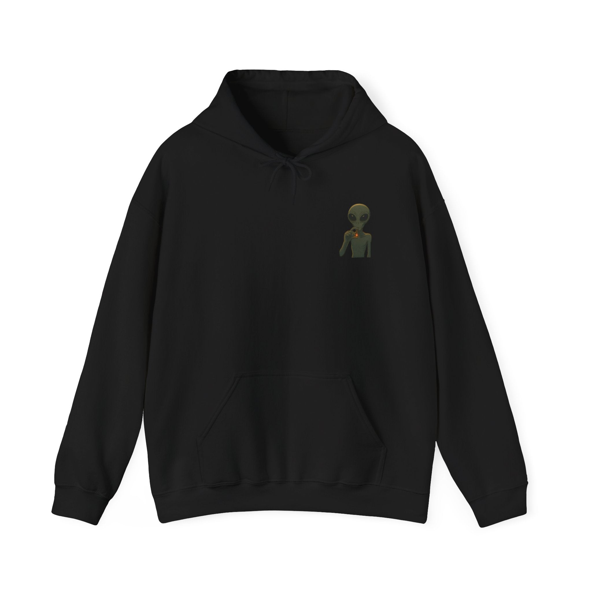 Hoodie — "This Planet Is Under New Management" Alien Graphic Pullover