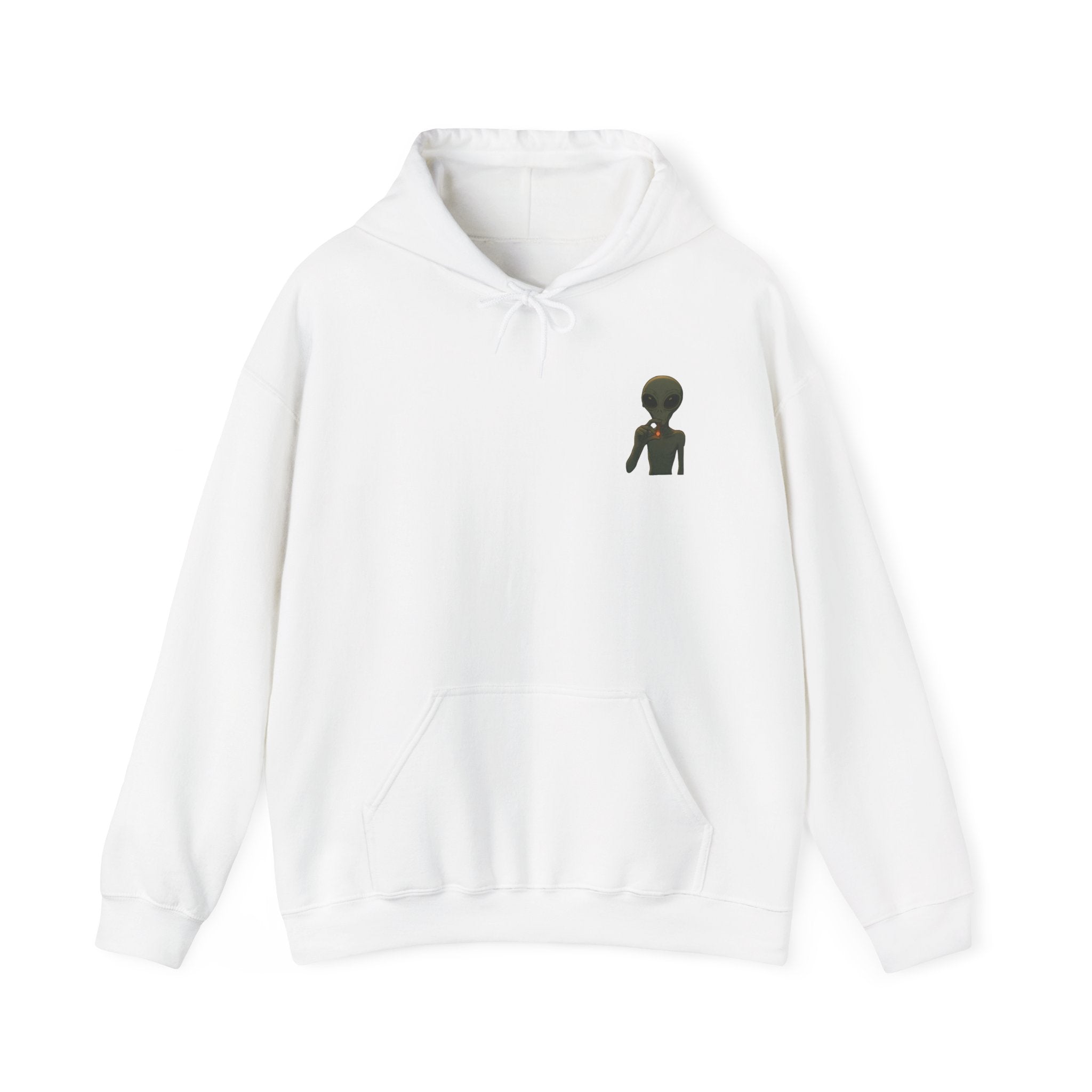 Hoodie — "This Planet Is Under New Management" Alien Graphic Pullover