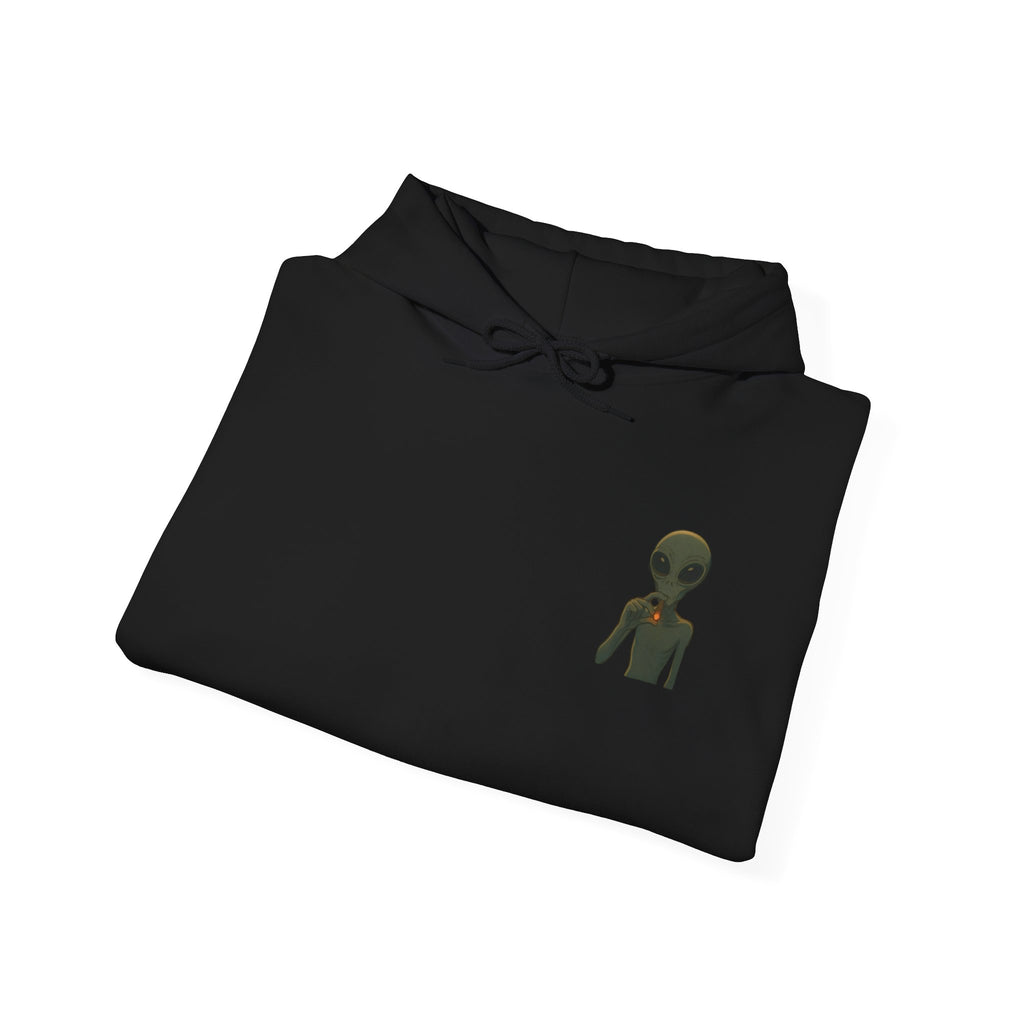 Hoodie — "This Planet Is Under New Management" Alien Graphic Pullover