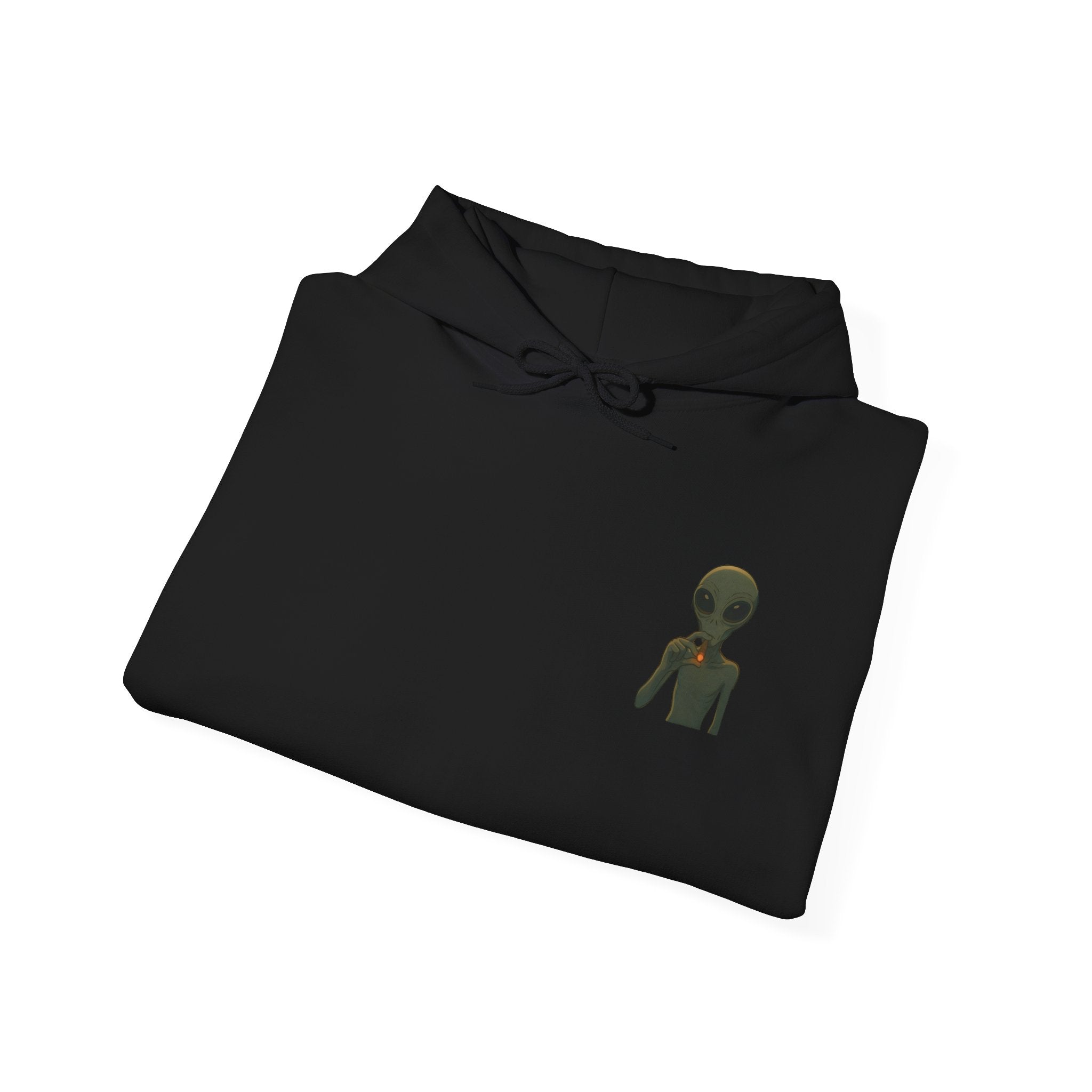 Hoodie — "This Planet Is Under New Management" Alien Graphic Pullover
